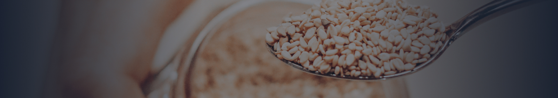 Fiber (Prebiotic)