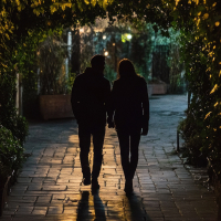 Walk After Dinner picture